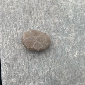 Petoskey stone